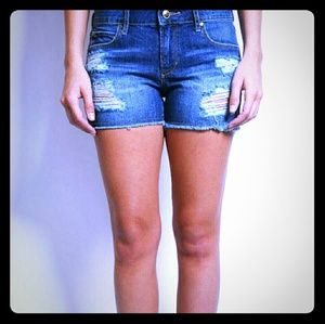 Article of Society denim cut offs
